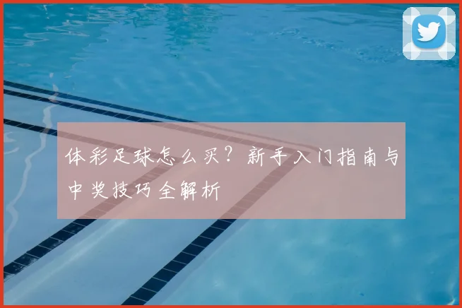体彩足球怎么买?新手入门指南与中奖技巧全解析